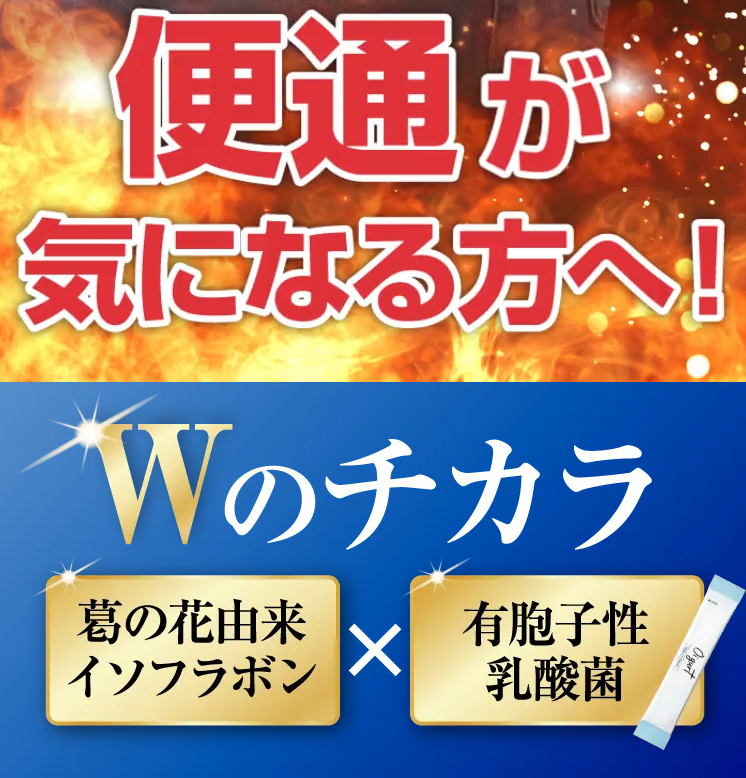 オイグルトトップ画像２