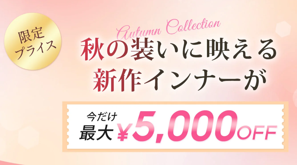 限定プライスの紹介画像