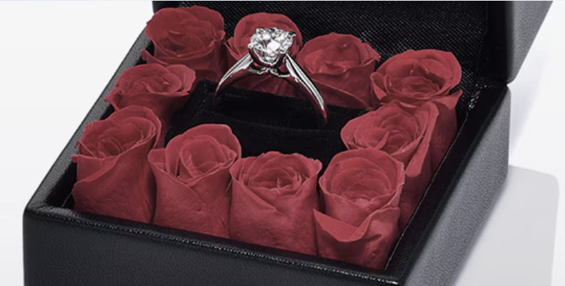 エクセルコダイヤモンドの商品参考写真