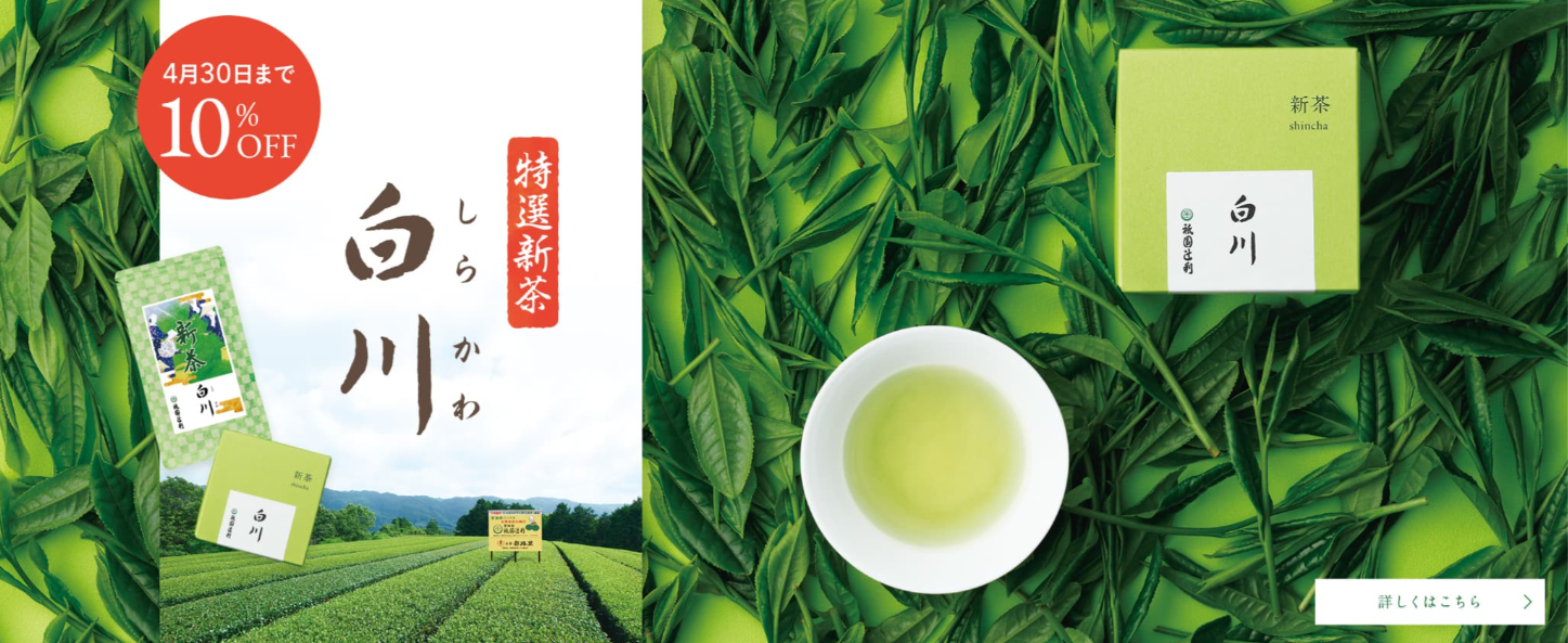 特選新茶　白川