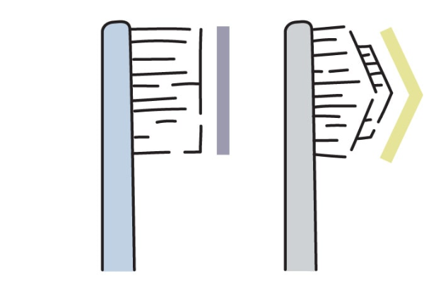 ブラシの特徴イメージ画像