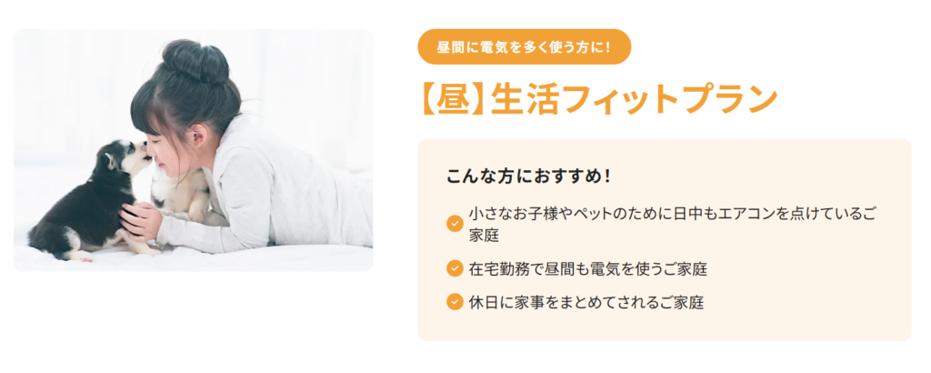 昼生活フィットプラン